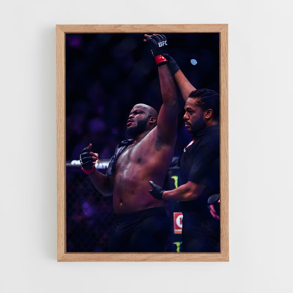 Poster The Undertaker's Fury – affiche MMA (vue 4)